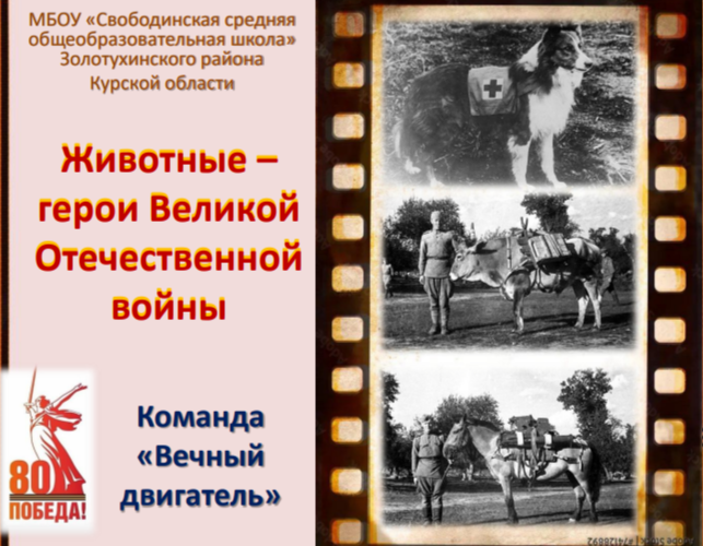 Животные-герои Великой Отечественной войны..